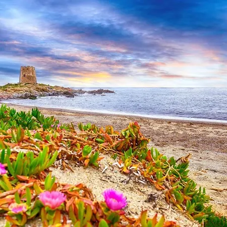 Mediterranean Whisper * سانتا ماريا نافاريز