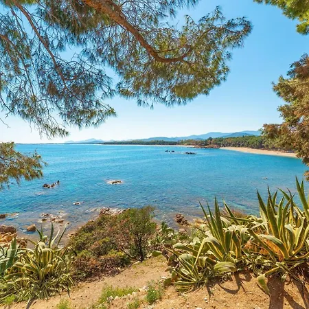 Mediterranean Whisper